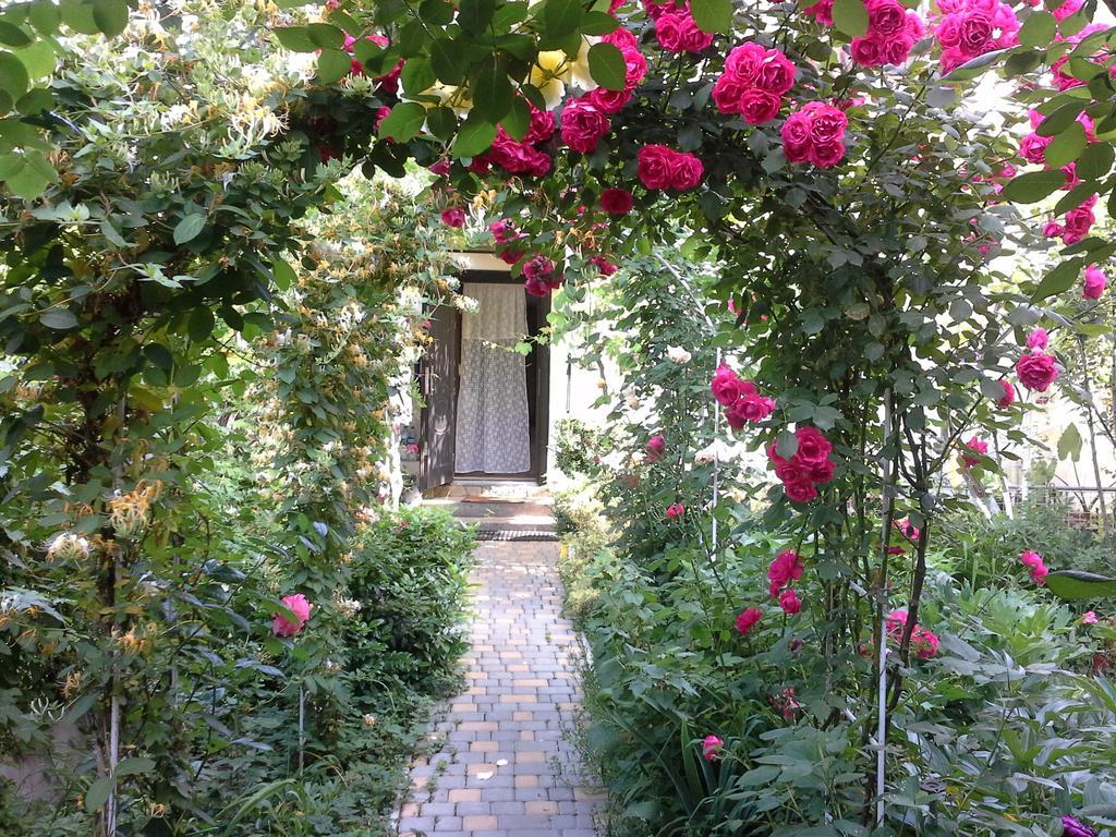 Guesthouse Marta オデッサ 部屋 写真