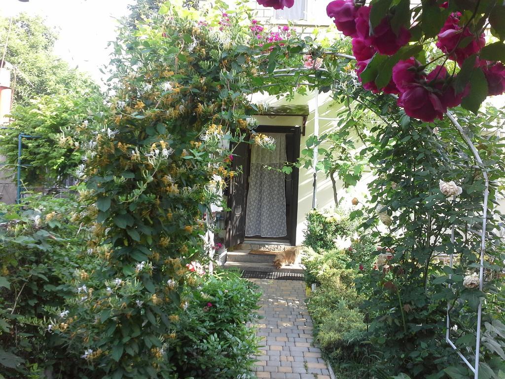 Guesthouse Marta オデッサ 部屋 写真
